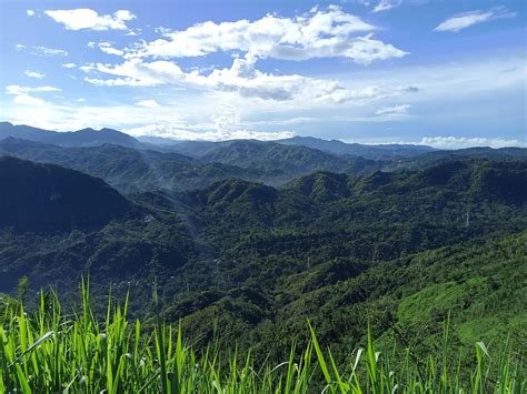 Sierra Madre Mountains royalty.